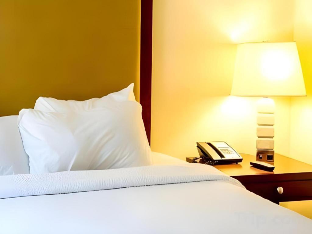 Motel 80 Auckland Ngoại thất bức ảnh