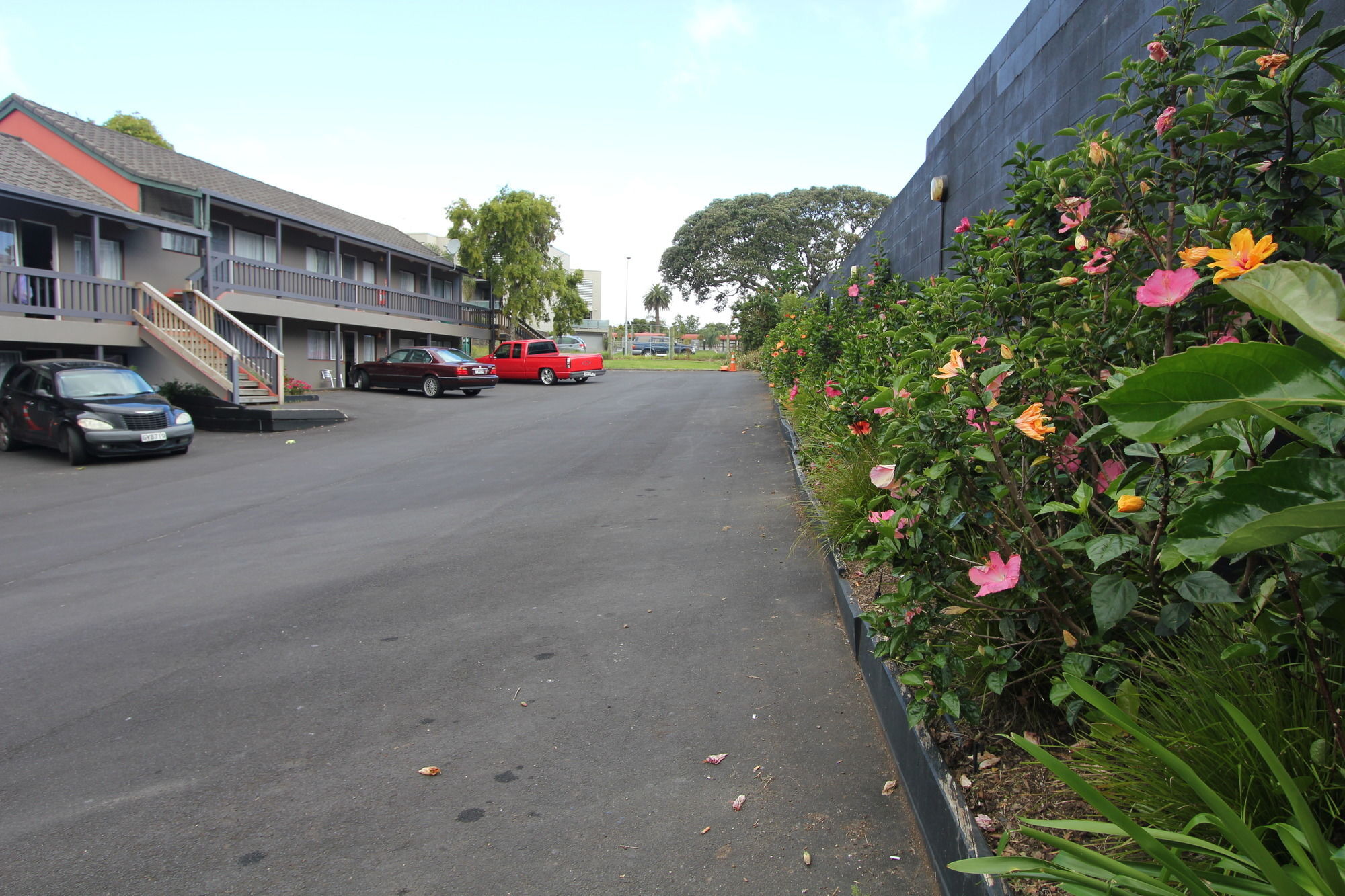 Motel 80 Auckland Ngoại thất bức ảnh